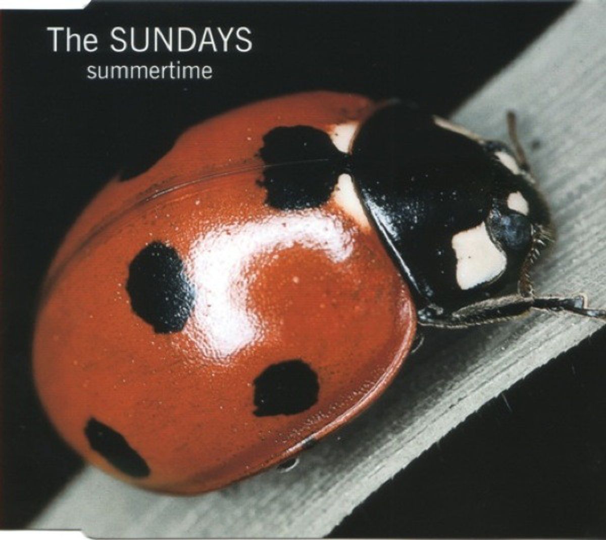 #ZomersGewoel - The Sundays - Summertime (1997)