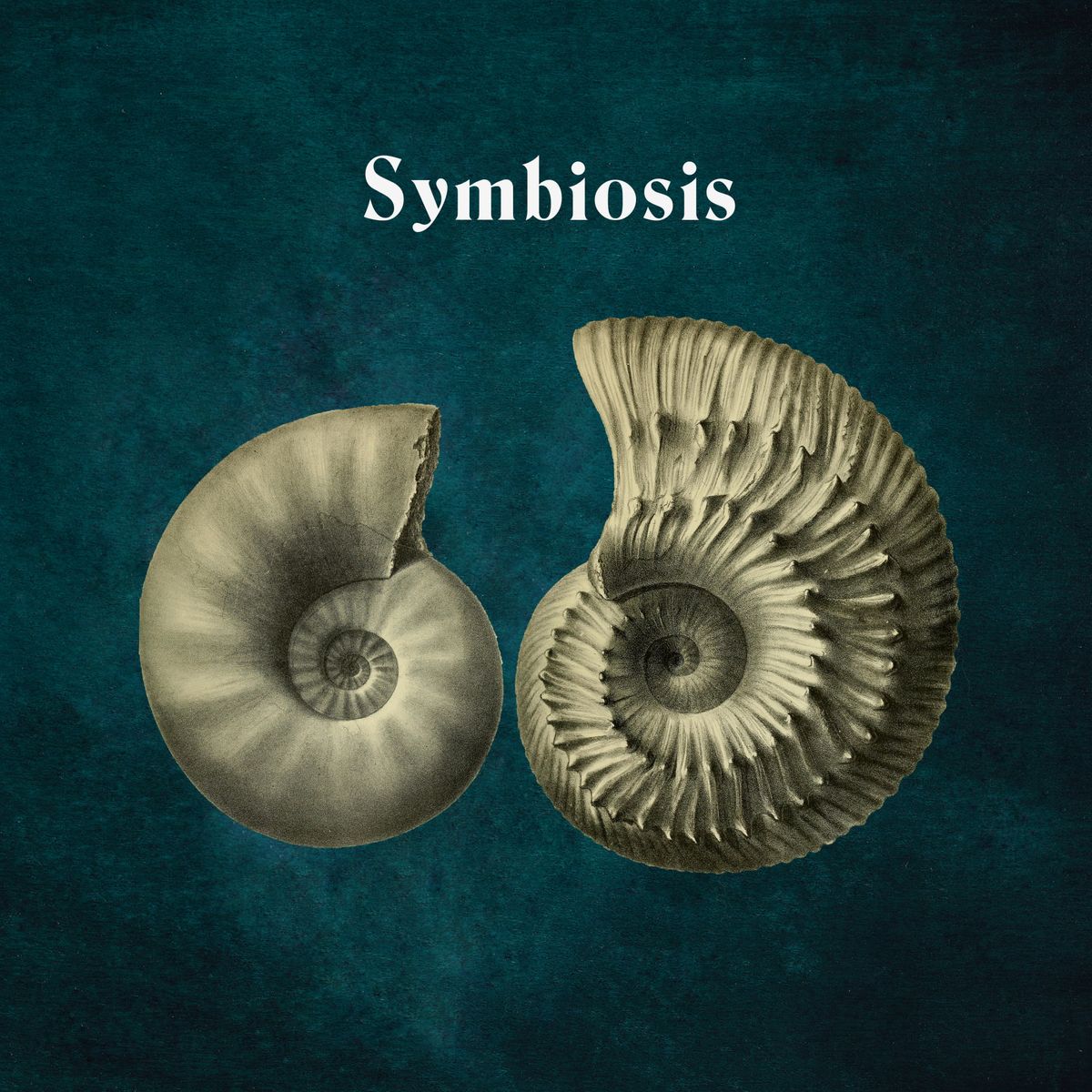 Hydrogen Sea - Symbiosis
