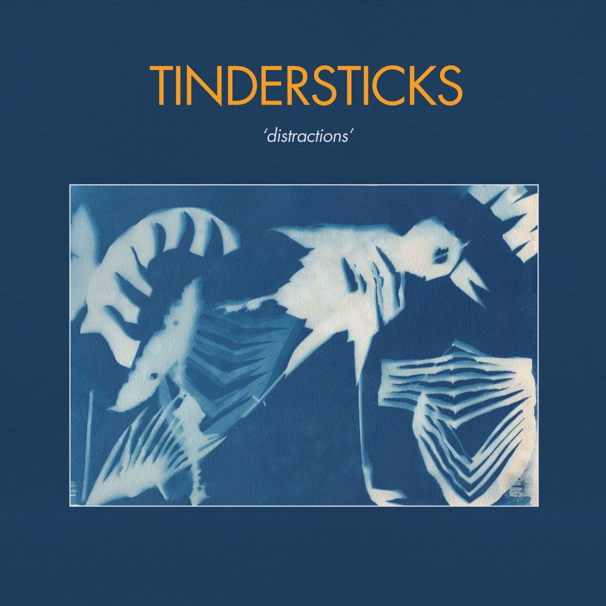 De afleidingen van Tindersticks