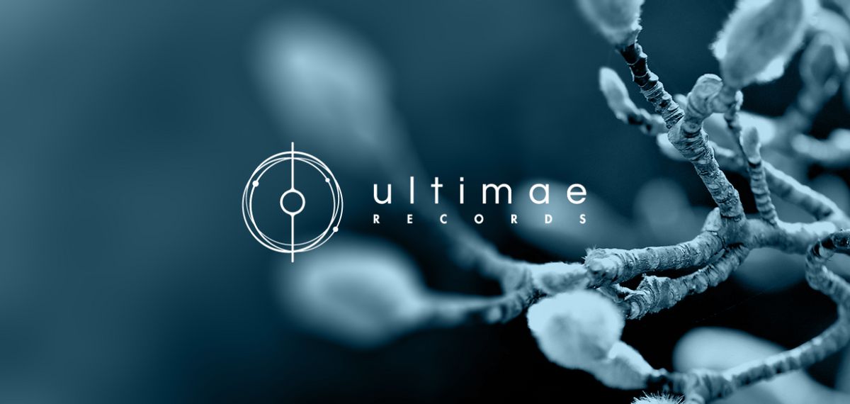Ultimae serveert honderd keer ambient