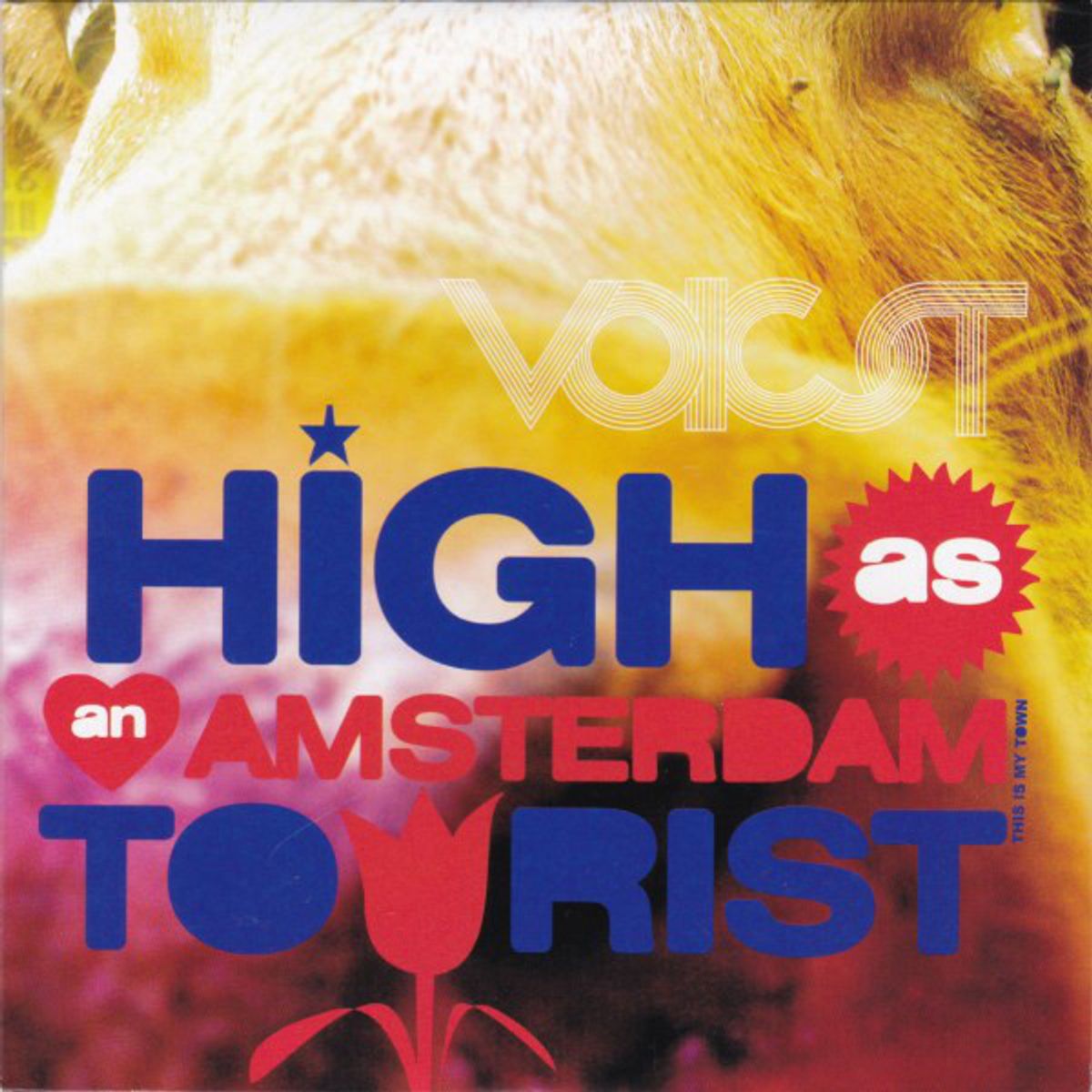 In The Dutch Mountains - Voicst