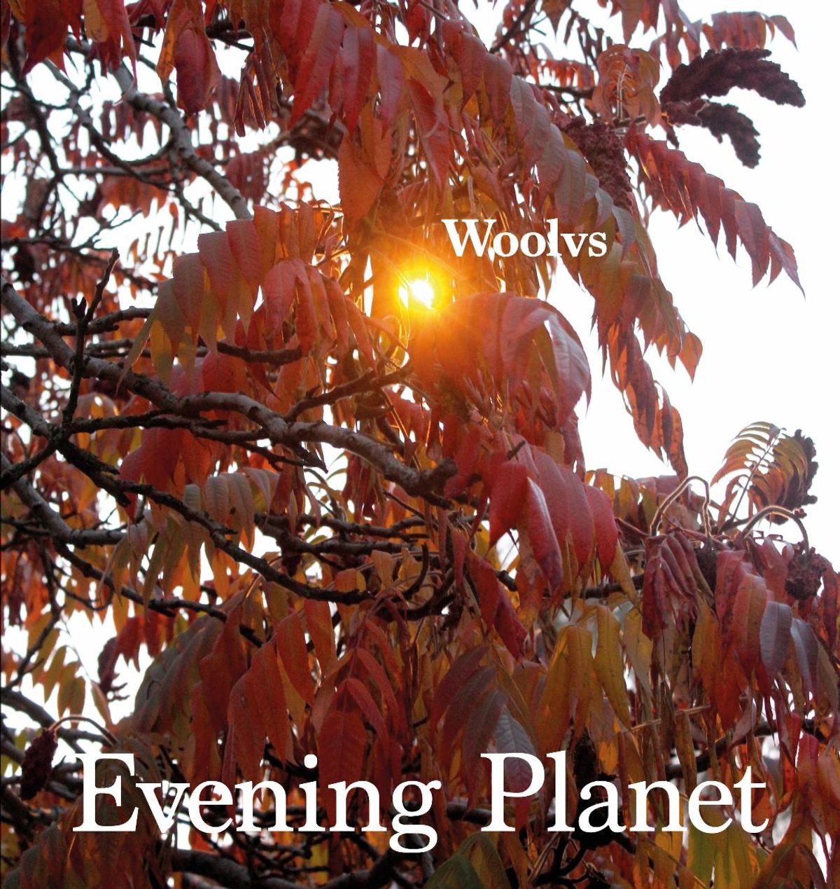 Evening Planet