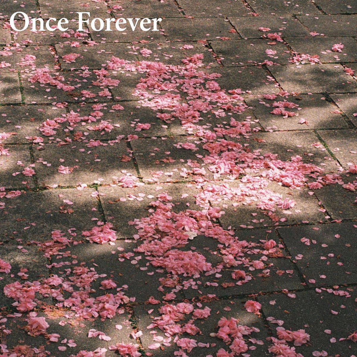 Woolvs - Once Forever