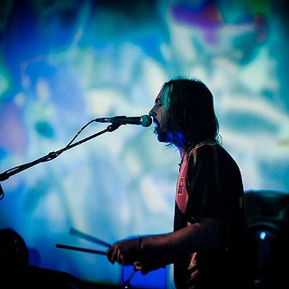 Les Nuits 2011: Animal Collective