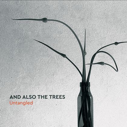 And Also The Trees - 'Untangled'