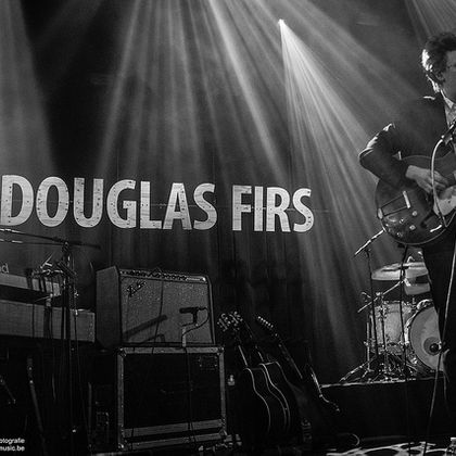 Douglas Firs