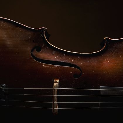 International Cello Day