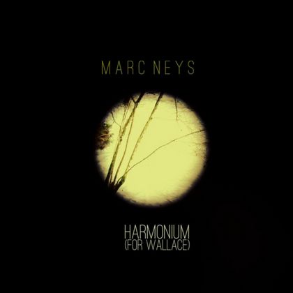 Butsenzeller (Fred Angst, Ford's Fuzz Inferno, The Betamax Project, Scoundrels, Punk Soul Brother...)