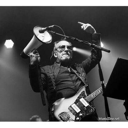 Rock Zottegem 2016: Elvis Costello & The Imposters, The Hives