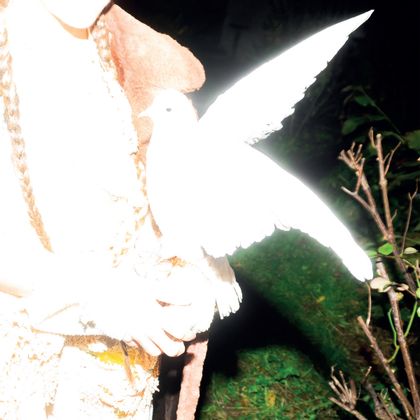 Michiel De Maeseneer (shitfruit)