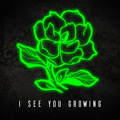 Ampersand - I See You Growing