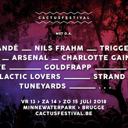 Cactusfestival 2018: vijf die je moet gezien hebben