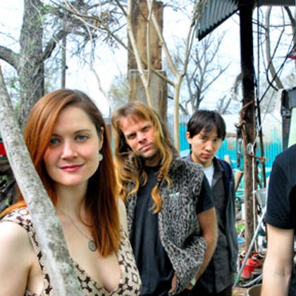 Shearwater