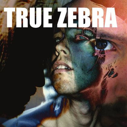 True Zebra - '123'