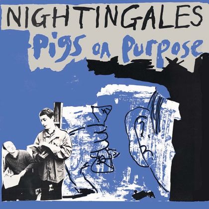 The Nightingales - 'Pigs On Purpose'
