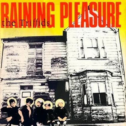 #Futurama85 - The Triffids - Raining Pleasure (1984)